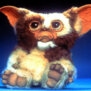 Gizmo6