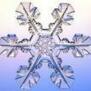 snowflake2